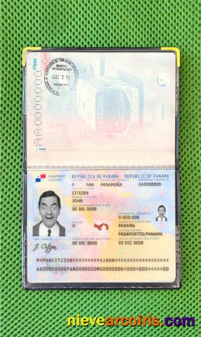 Panama passport photolook